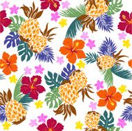 hibiscus repeats N43
