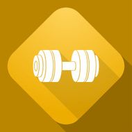 Vector icon of Dumbbell with a long shadow N2