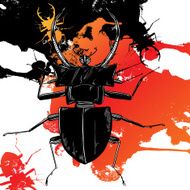 fantastic graphic beetle - sketch tattoo N2