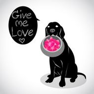 valentine dog