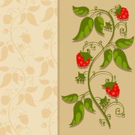 Background with raspberries and space for text