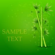 Vector creative bamboo background Eps10