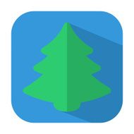 christmas tree N319