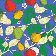 fruits background N22