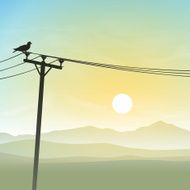 Bird on Telephone Lines N2