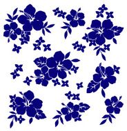 picture of the Hibiscus N3