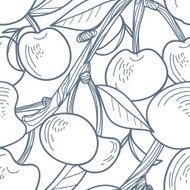 Cherries N29