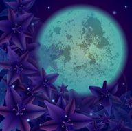 night flower