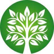 Green Tree Icon N8