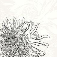 Monochrome invitation or greeting card with chrysanthemum N2