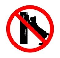 cat forbidden nail grinding