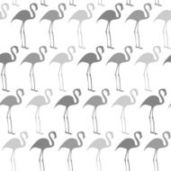 Flamingos N22
