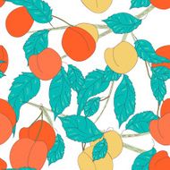fruits background N27