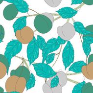 fruits background N28