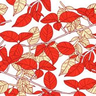 Leafs N31