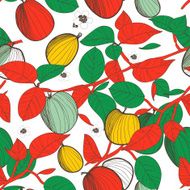fruits background N33