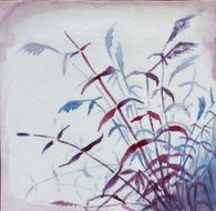 Cnae and grass N2