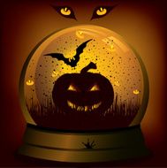 Pumpkin N43