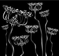 Umbrella Wild Plants Black and White