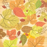 Autumn Background N141