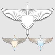 Emblem N3