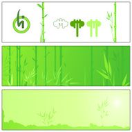 green bamboo N3
