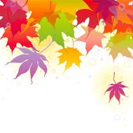 Autumn Maple Leaves Background N4