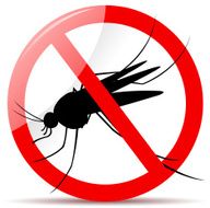 No Mosquito Sign N3