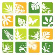 tropical icons N3