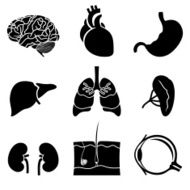 body organs icons black on white