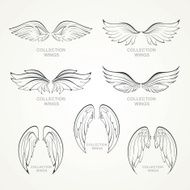 Wings collection N6