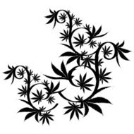 Vector cannabis leaf silhouette on white background Marijuana
