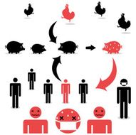H1N1 - Swine flu