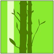 green flora N10