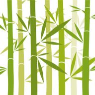 Bamboo Background N20