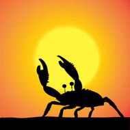 Vector silhouette of the crab