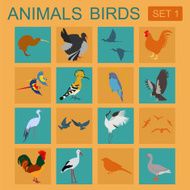 Birds icon set Flat style Vector illustration