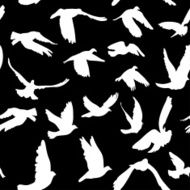 Doves pigeons seamless pattern black white peace concept wedding design