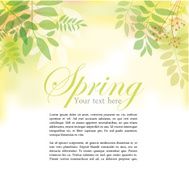 Spring background N82