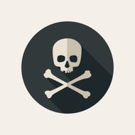 Skull And Crossbones Icon N6