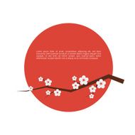 Sakura blossom greeting card N2