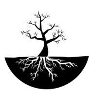 Silhouette of tree with no leaves vector