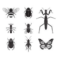 Set of vector insects volume 4