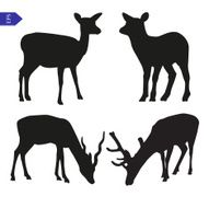 Vector silhouettes of deer N2