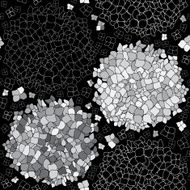 Vector seamless floral pattern with hydrangeas on black background