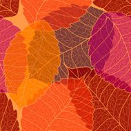 Seamless pattern of autumn leaves N14