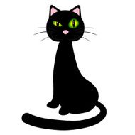 Black Cat N56