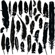 set of silhouettes by plumes