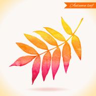 Watercolor colorful vector leaf Vector illustration N4