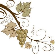 Grapes N18